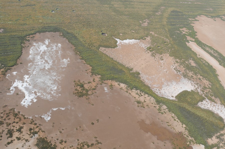 Photo aérienne du Petit Bagnas en période d’assec estival. Les dépôts blanchâtres sont dus à la salinité de la lagune dans cette zone - R. Dupuy de la Grandrive